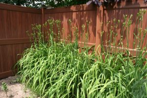 Mocha Walnut vinyl fence with Lilly's
