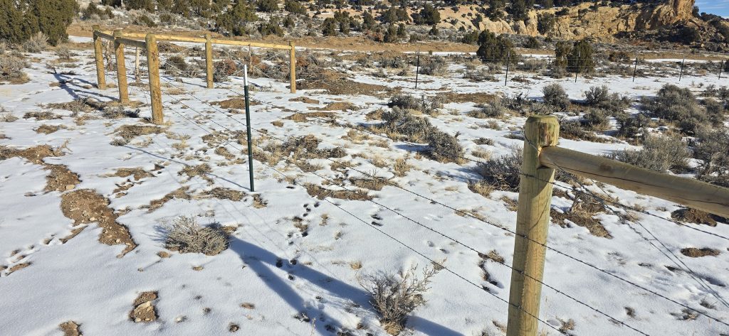 barbed wire fencing in remote area