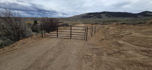 Cattle metal gate