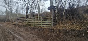 Muddy road with open cattle gate attached to old wood fence